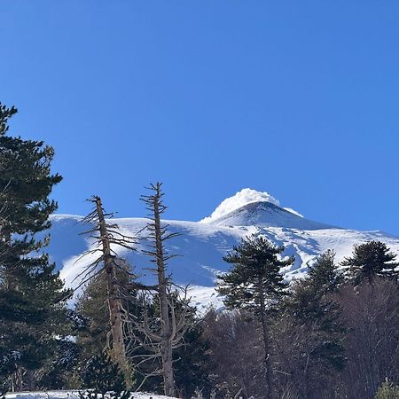 Agriturismo Sole Di Sicilia ランダッツォ エクステリア 写真