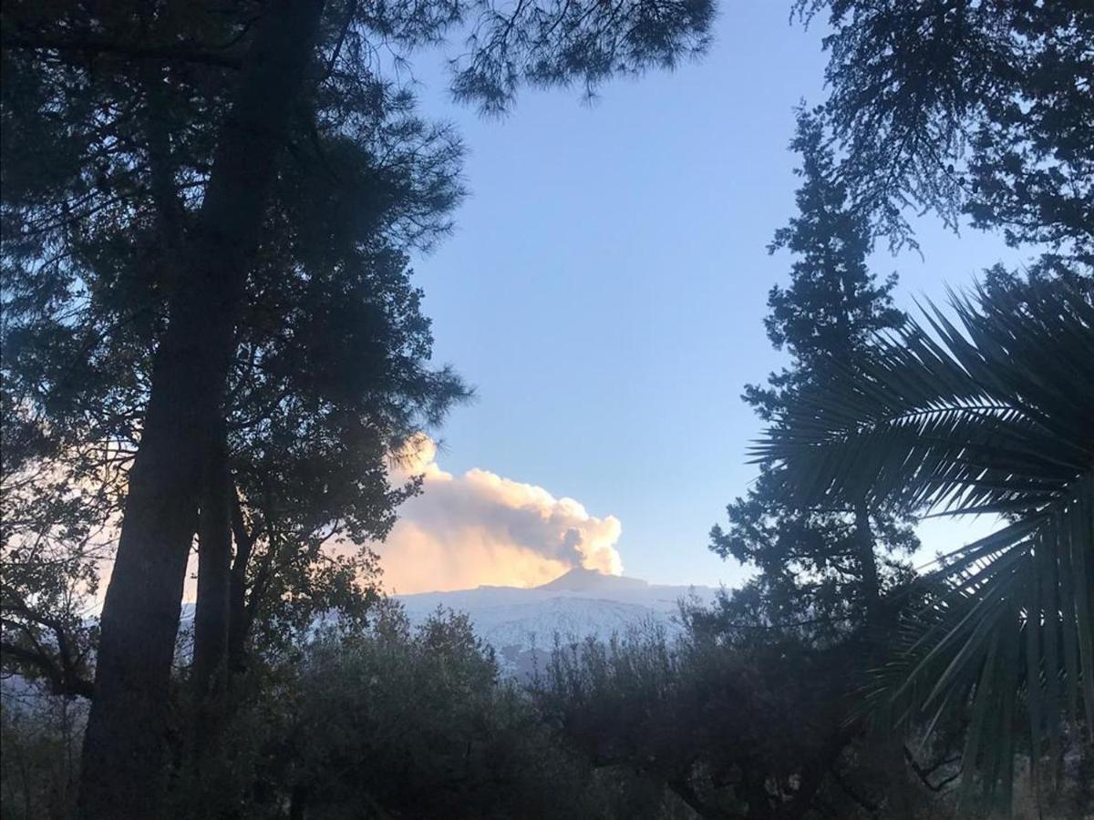 Agriturismo Sole Di Sicilia ランダッツォ エクステリア 写真