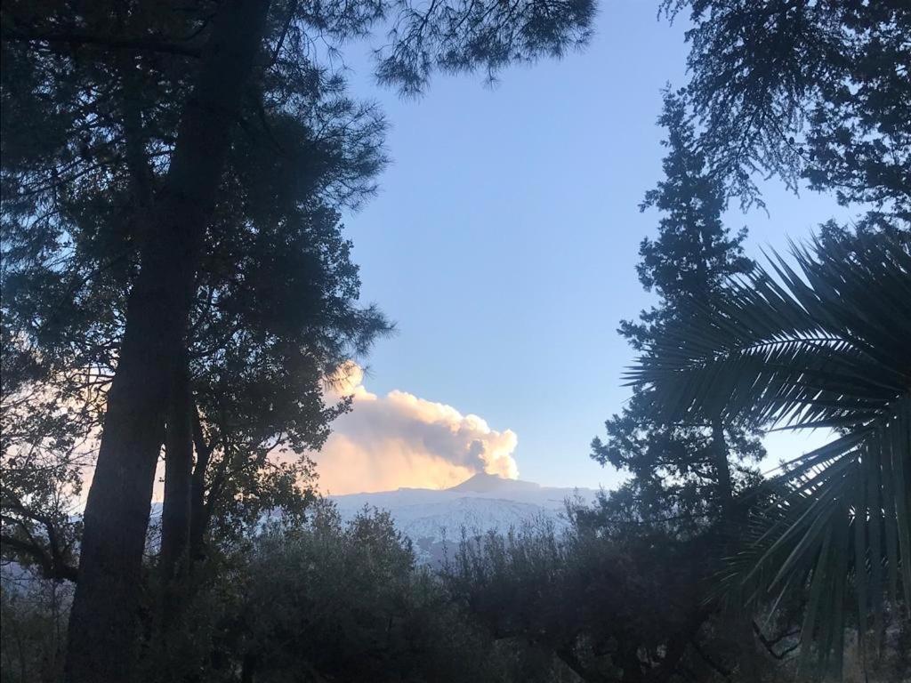 Agriturismo Sole Di Sicilia ランダッツォ エクステリア 写真