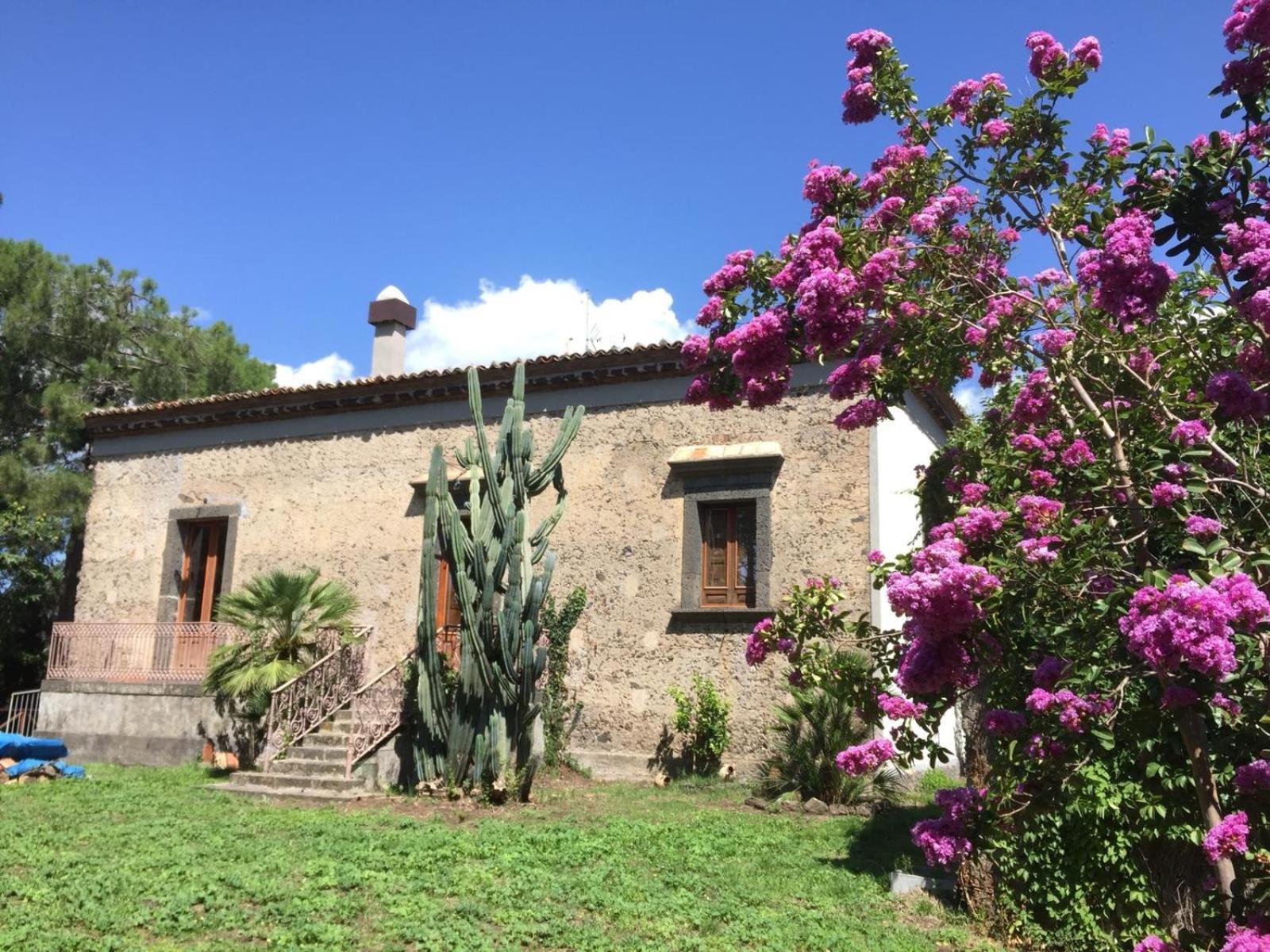 Agriturismo Sole Di Sicilia ランダッツォ エクステリア 写真