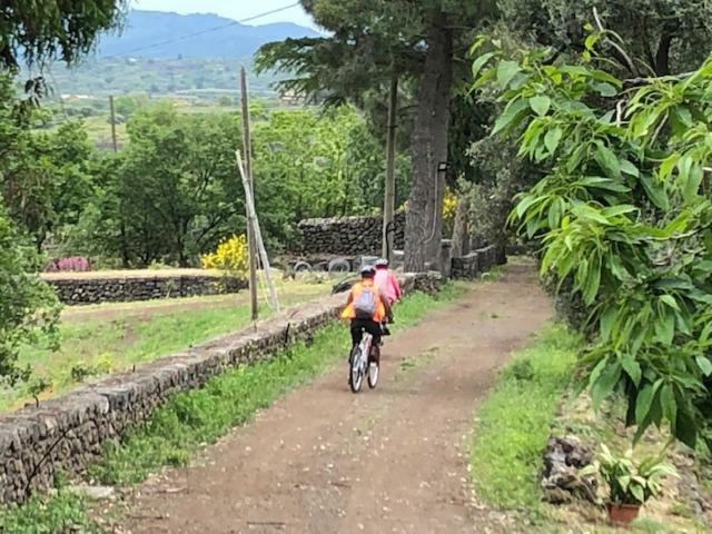 Agriturismo Sole Di Sicilia ランダッツォ エクステリア 写真